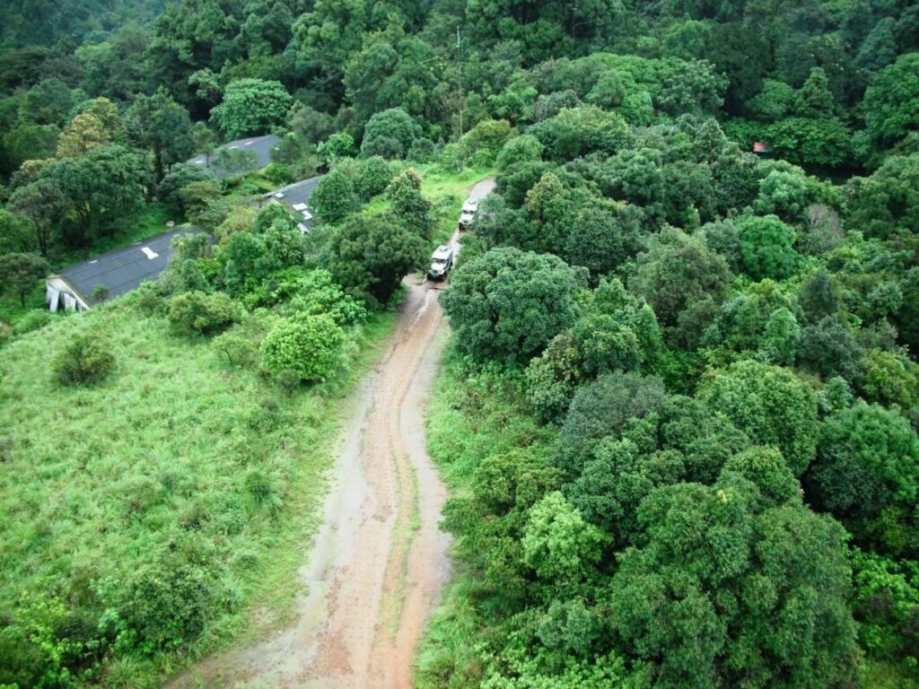 Discover the Magic of Silent Valley National Park!