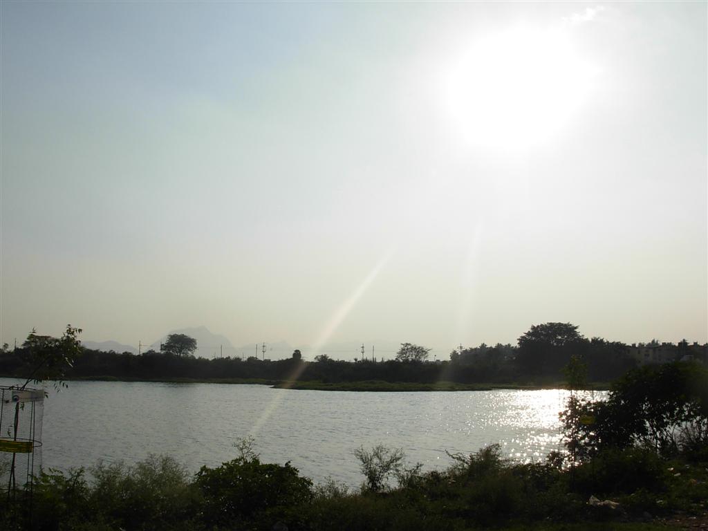 Explore the Timeless Beauty of Ukkadam-Valankulam Lake, Coimbatore